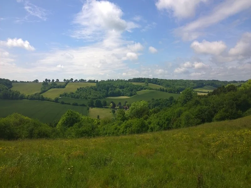 Chiltern Hills